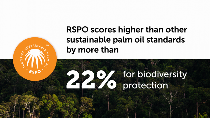 Rspo Scores Higher Than Other Sustainable Palm Oil Standards According To New Report Articles 9555