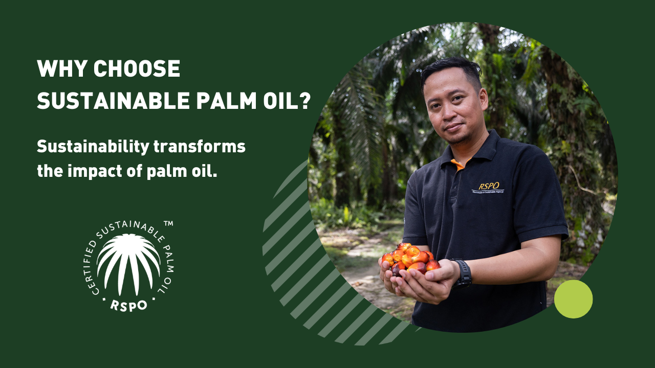Palm Oil - RSPO Sustainable - 50 lbs - Food Grade - FREE US