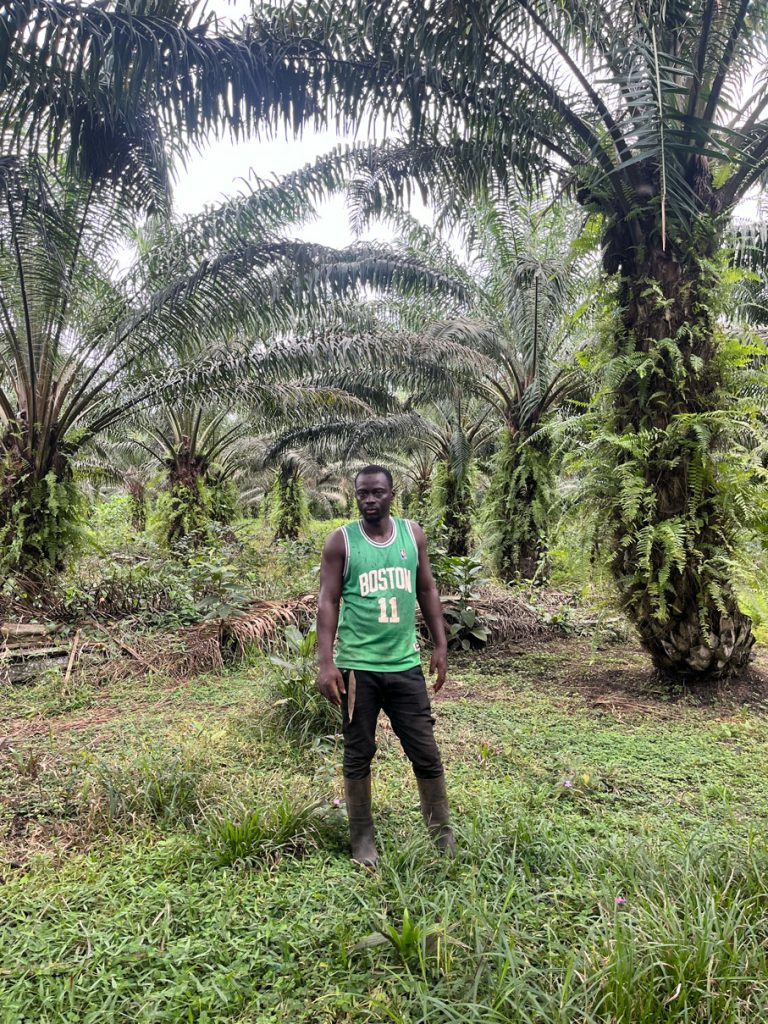 Dauda en su plantación en Irobo, Costa de Marfil