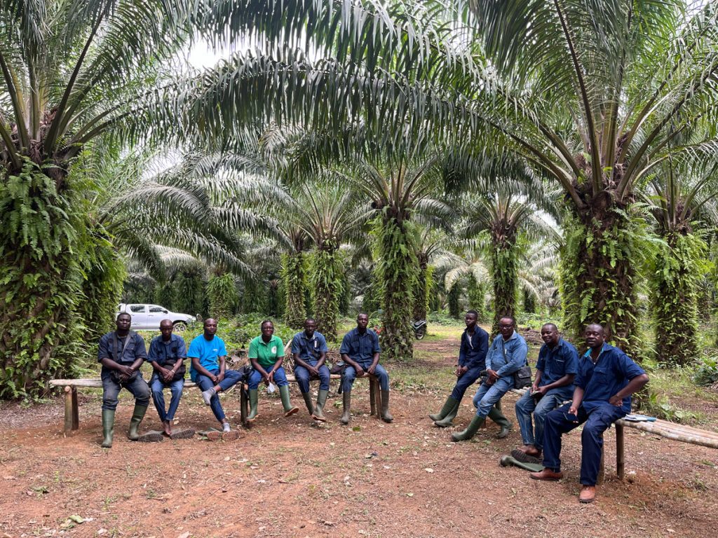 Agents de vulgarisation dans une plantation utilisée comme école de terrain pour les agriculteurs