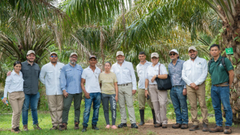 Field of Teams. RSPO with PromoAgrosur