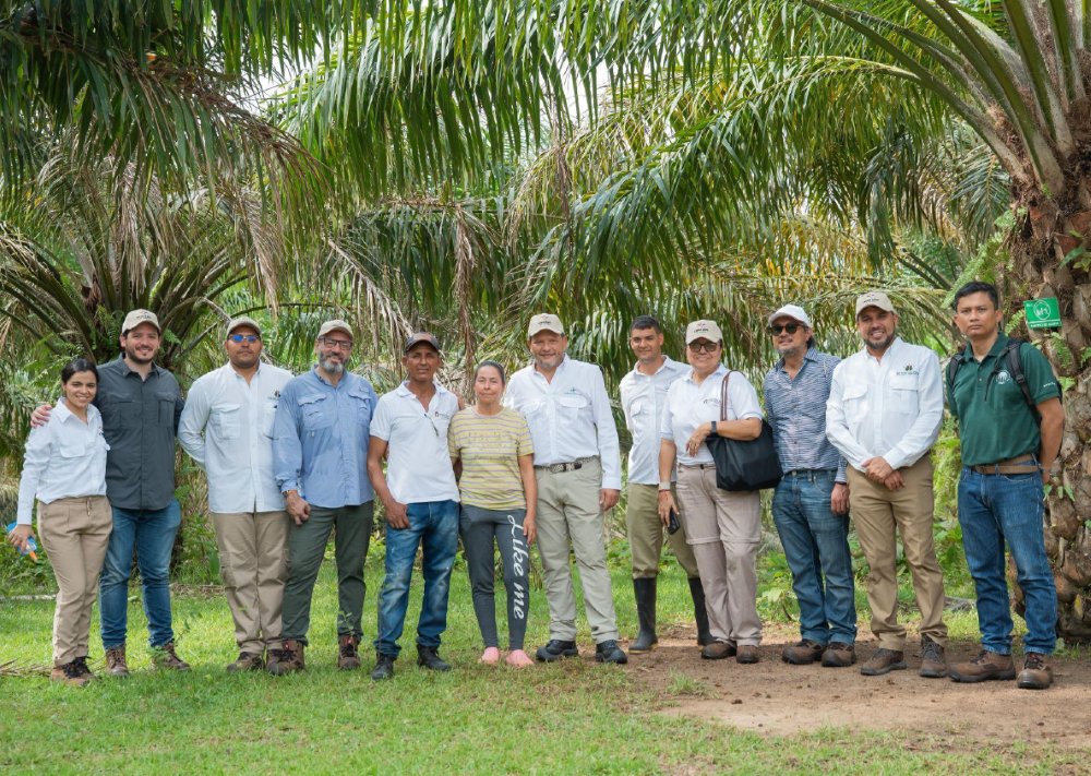 Field of Teams. RSPO with  PromoAgrosur