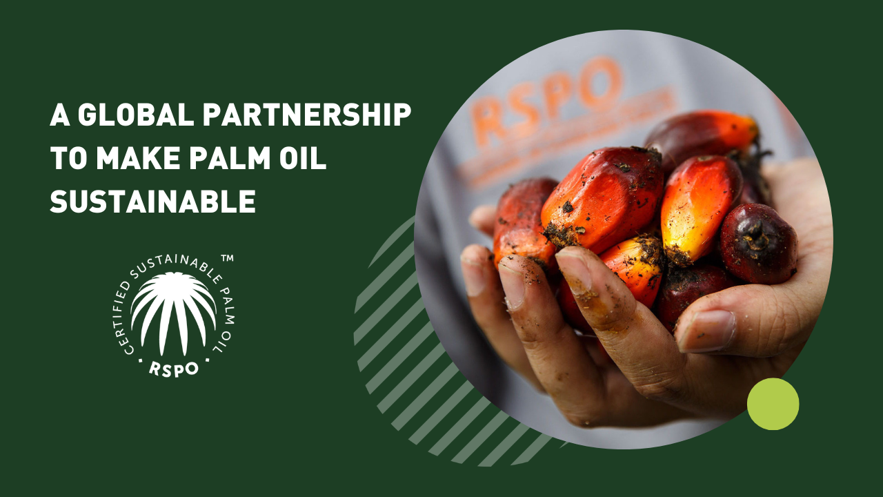 Sustainable Palm Oil: Fact or Fiction? A Look at RSPO Certification