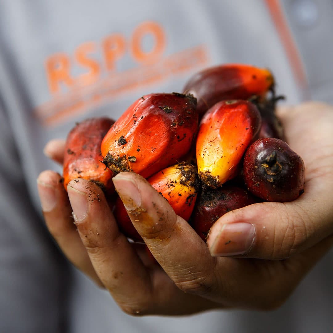 Palm Oil RSPO