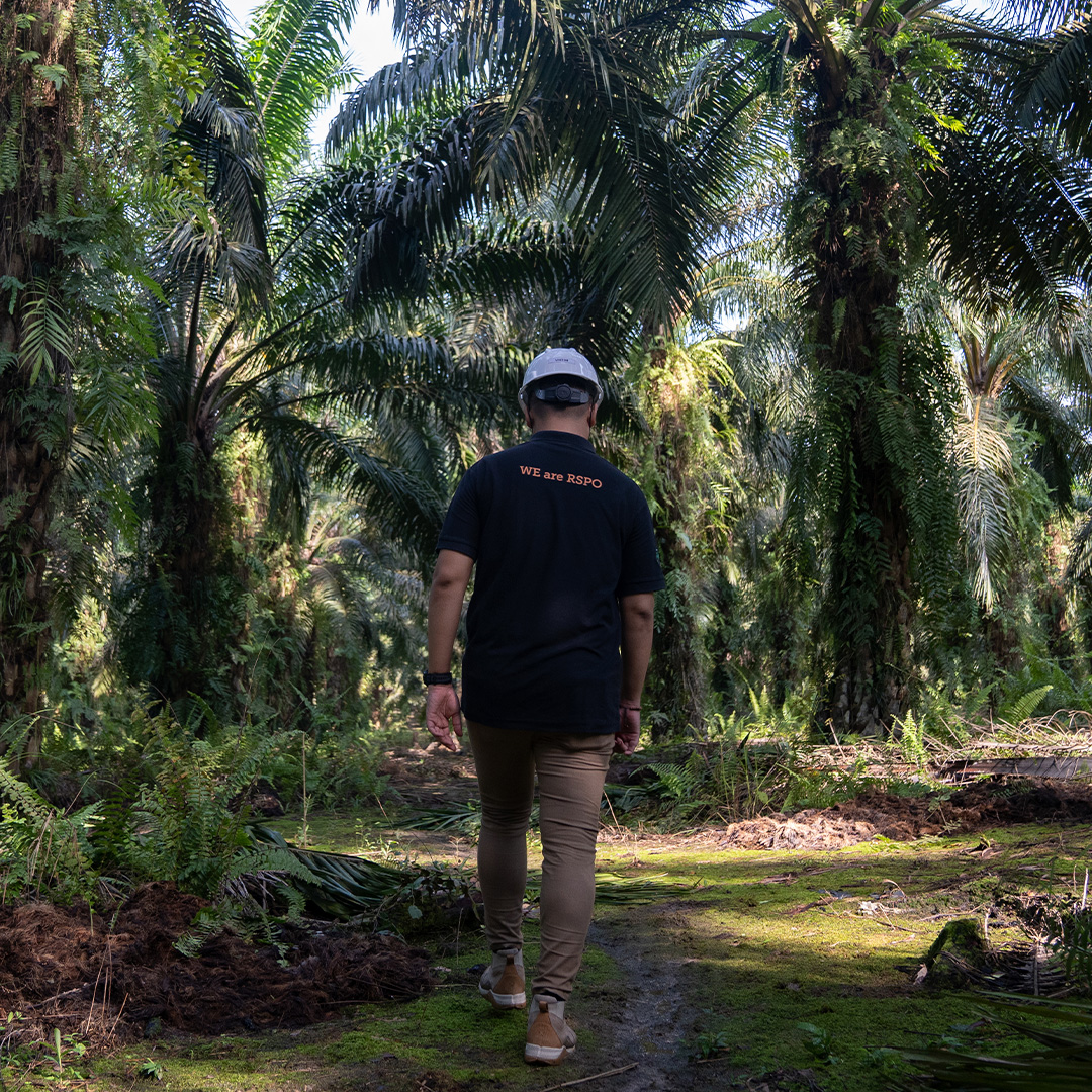 who-we-are-roundtable-on-sustainable-palm-oil-rspo