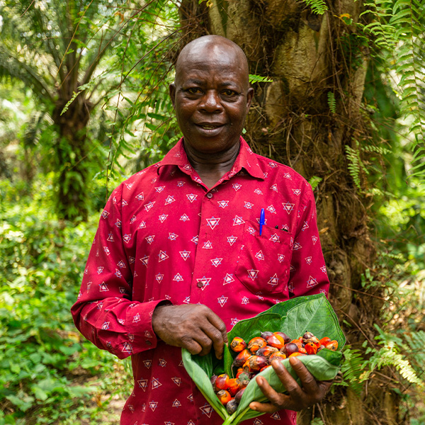 Get involved as a smallholder - Roundtable on Sustainable Palm Oil (RSPO)